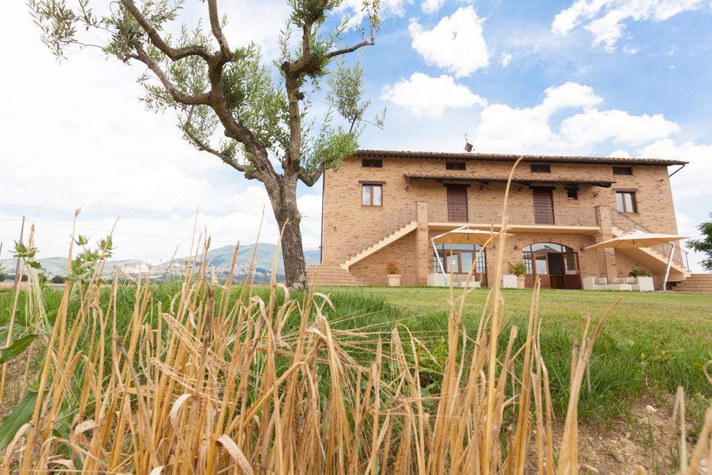 Assisium Agriturismo Exterior foto